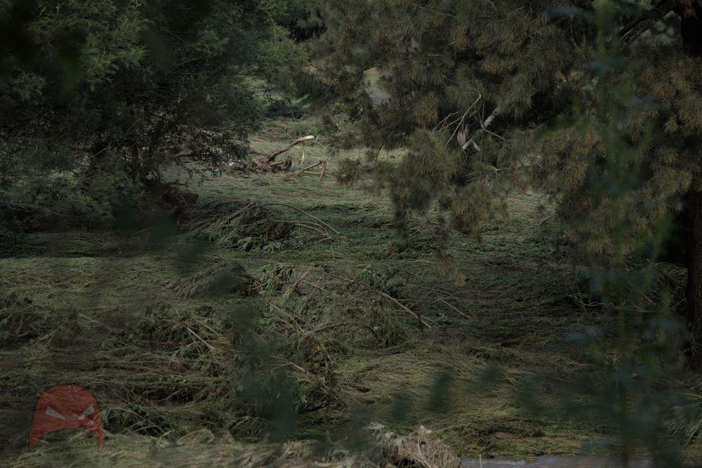 More devastation from the flood