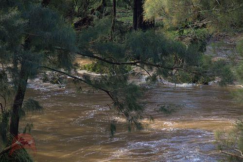 Rivulet still has more to come