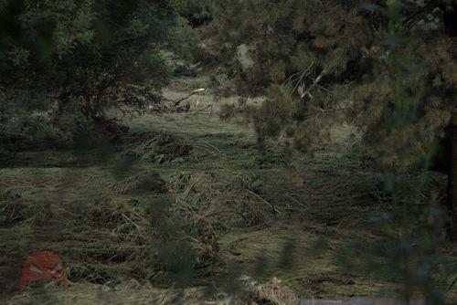 More devastation from the flood