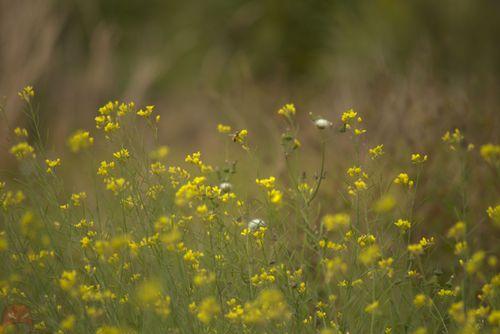 Roll About - 2024-09-11