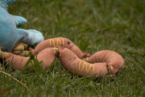 A happy sausage in the grass
