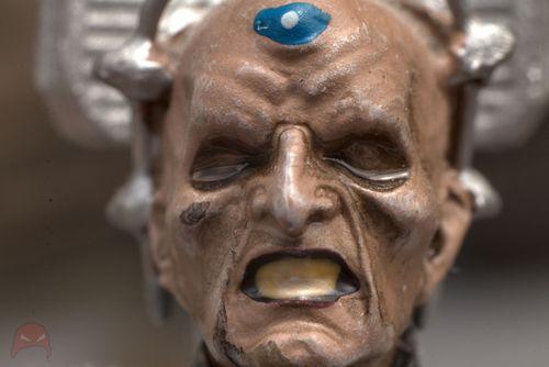 Macro - Life up close