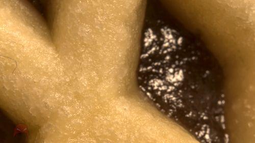 Fruit Pies and Macro