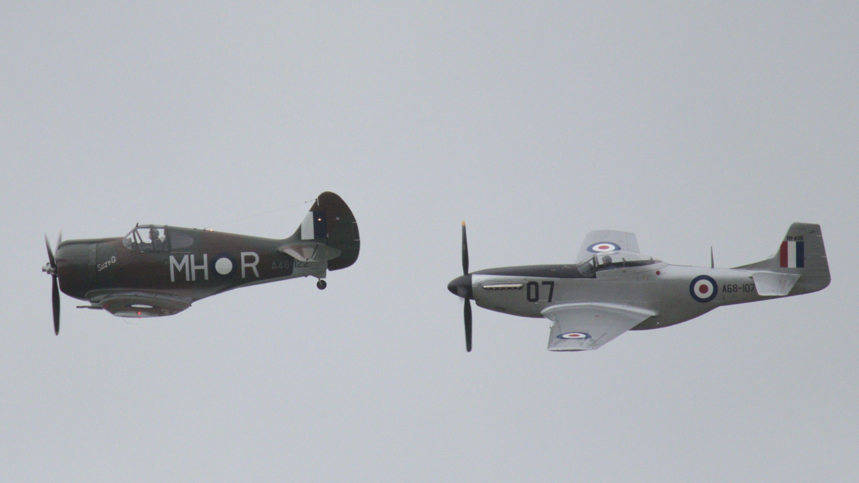 IMG_4344_cropped.jpg